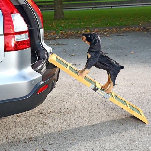 Hunde auto einstiegshilfe - hunde,