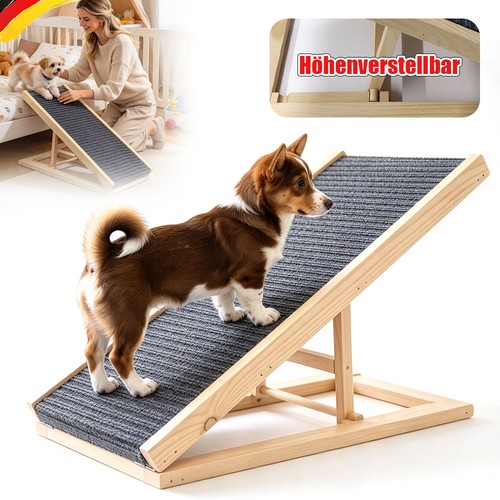 Hund katze rampe - /,