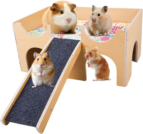 Meerschweinchenhaus aus
