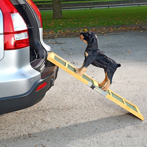 Hunde auto einstiegshilfe - hunde,